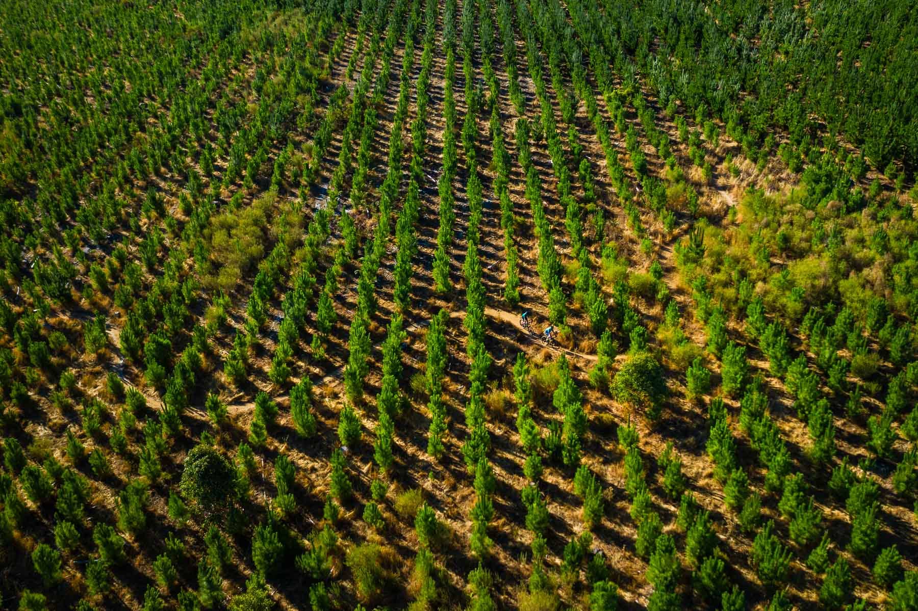 Wooditjup National Park