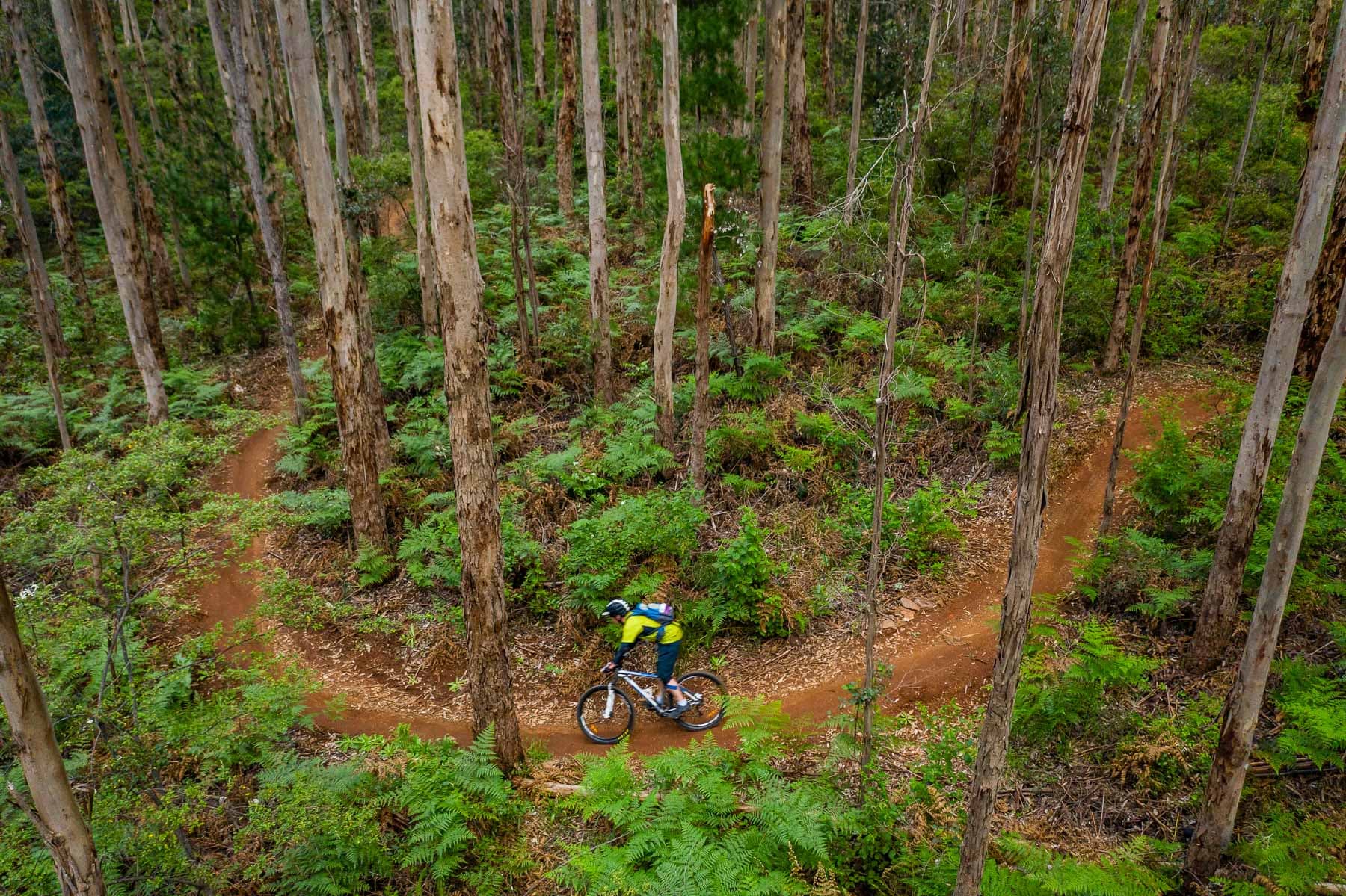 Mountain biking in Wooditjup National Park