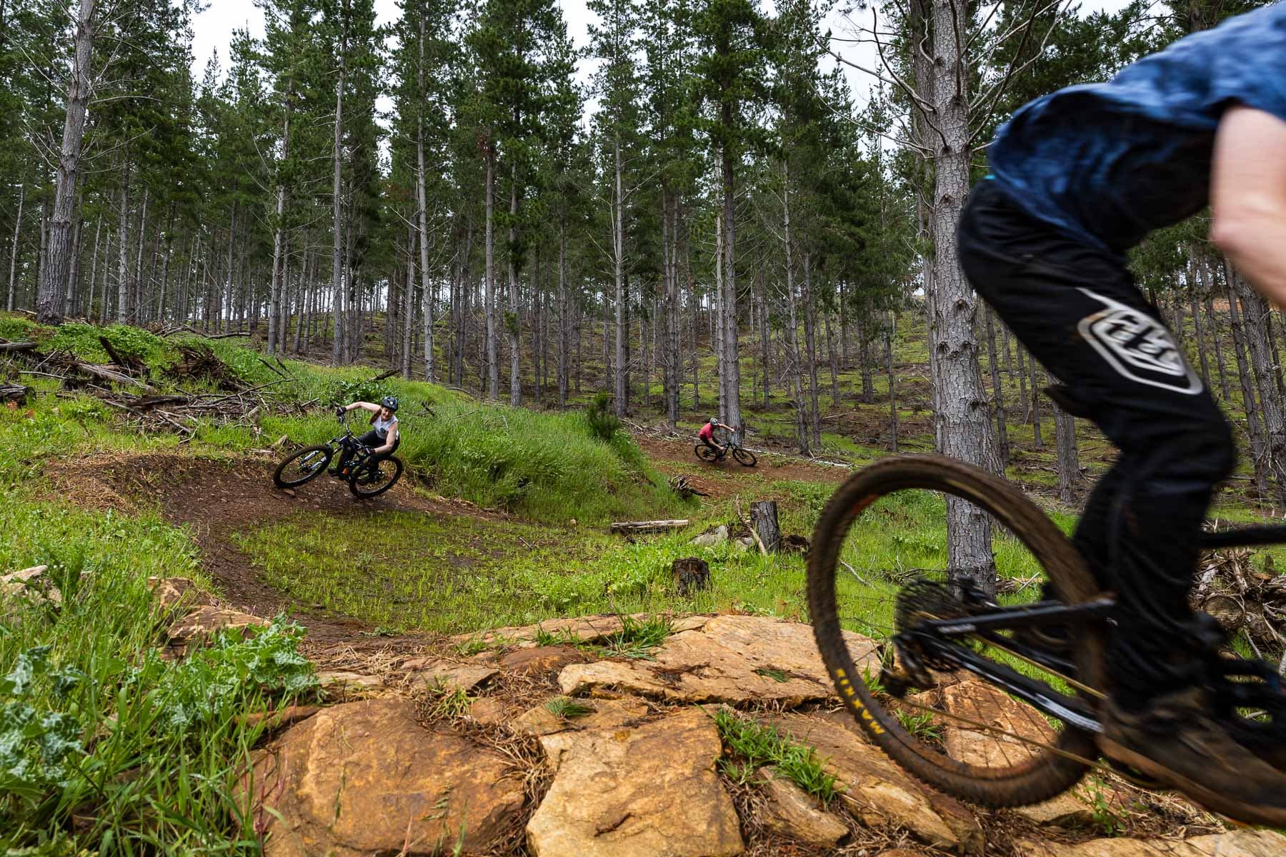 Mountain bikers racing through forest trails
