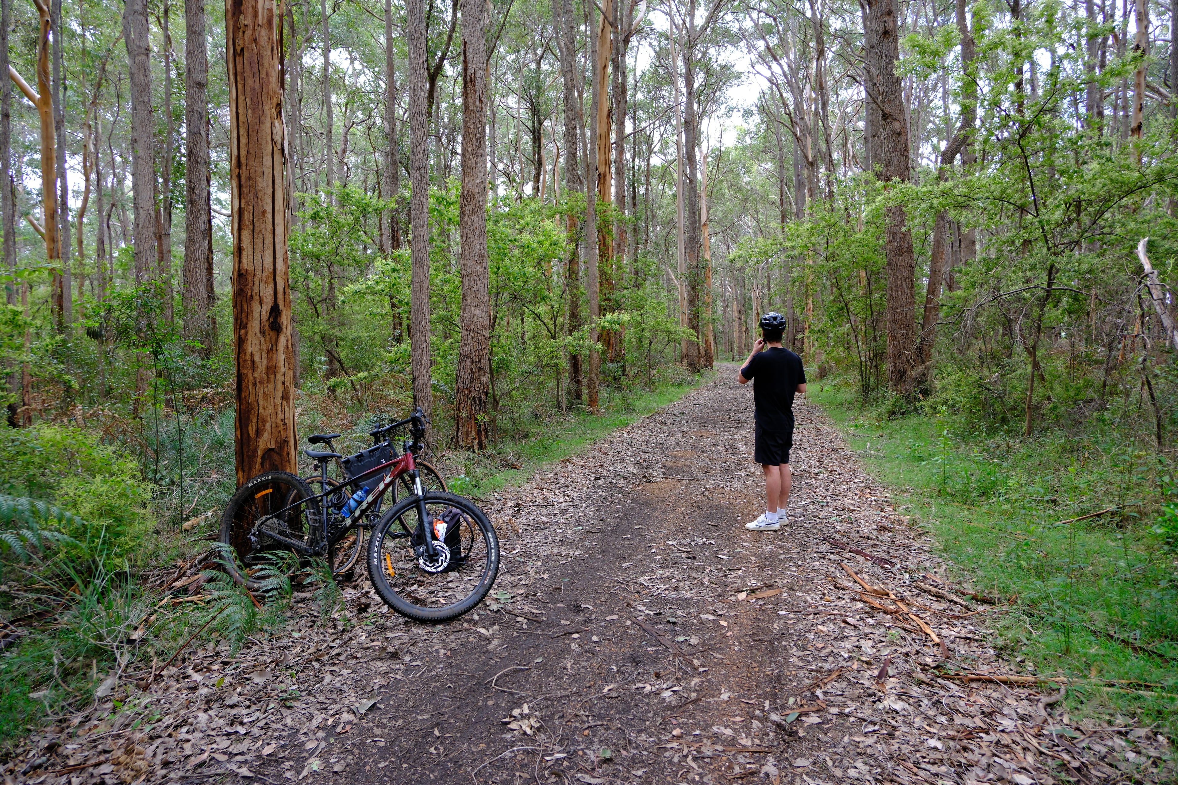 Bikes parked outside a Margaret River cellar door with vines in background