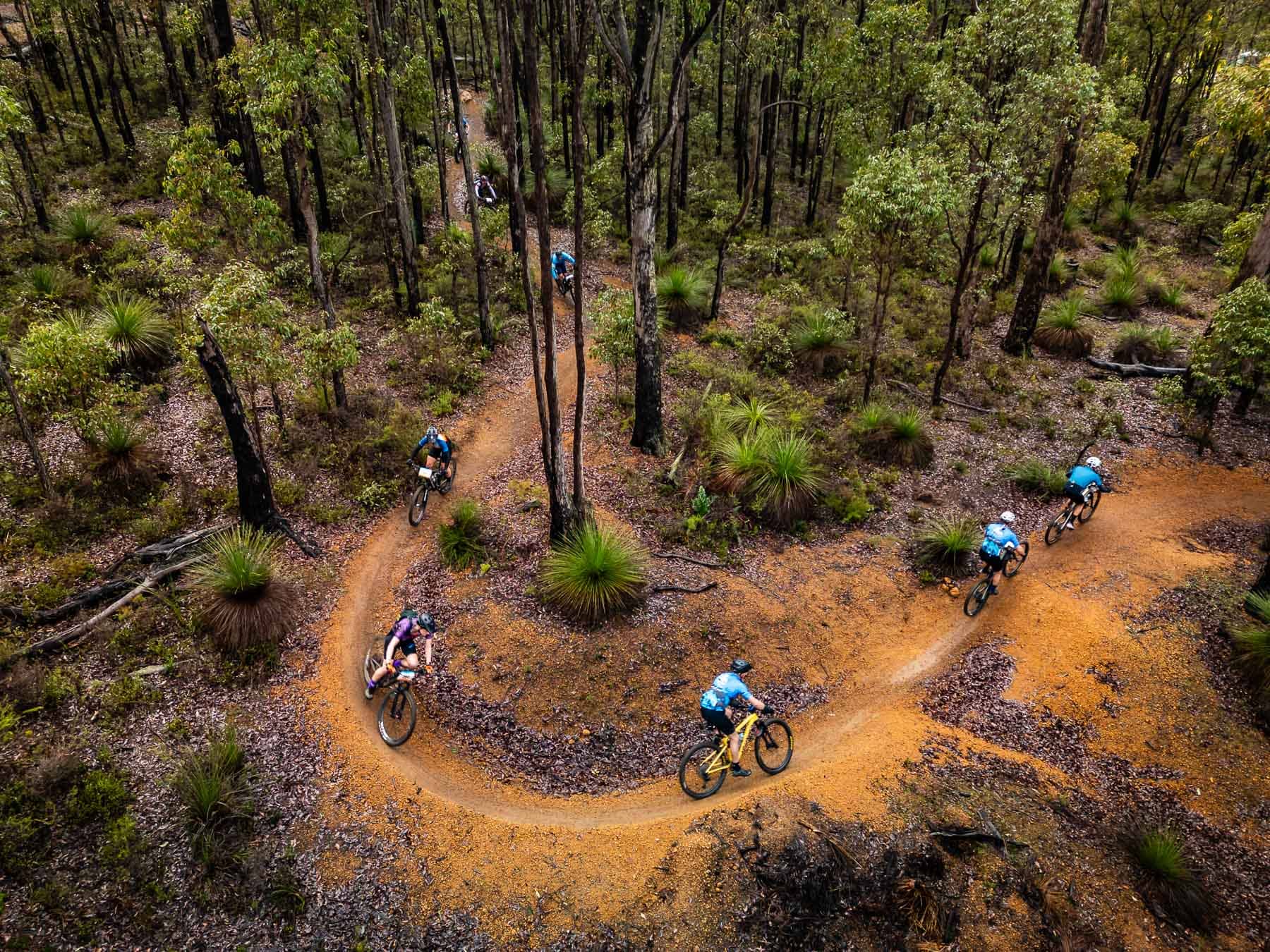 Mountain bikers on a trail