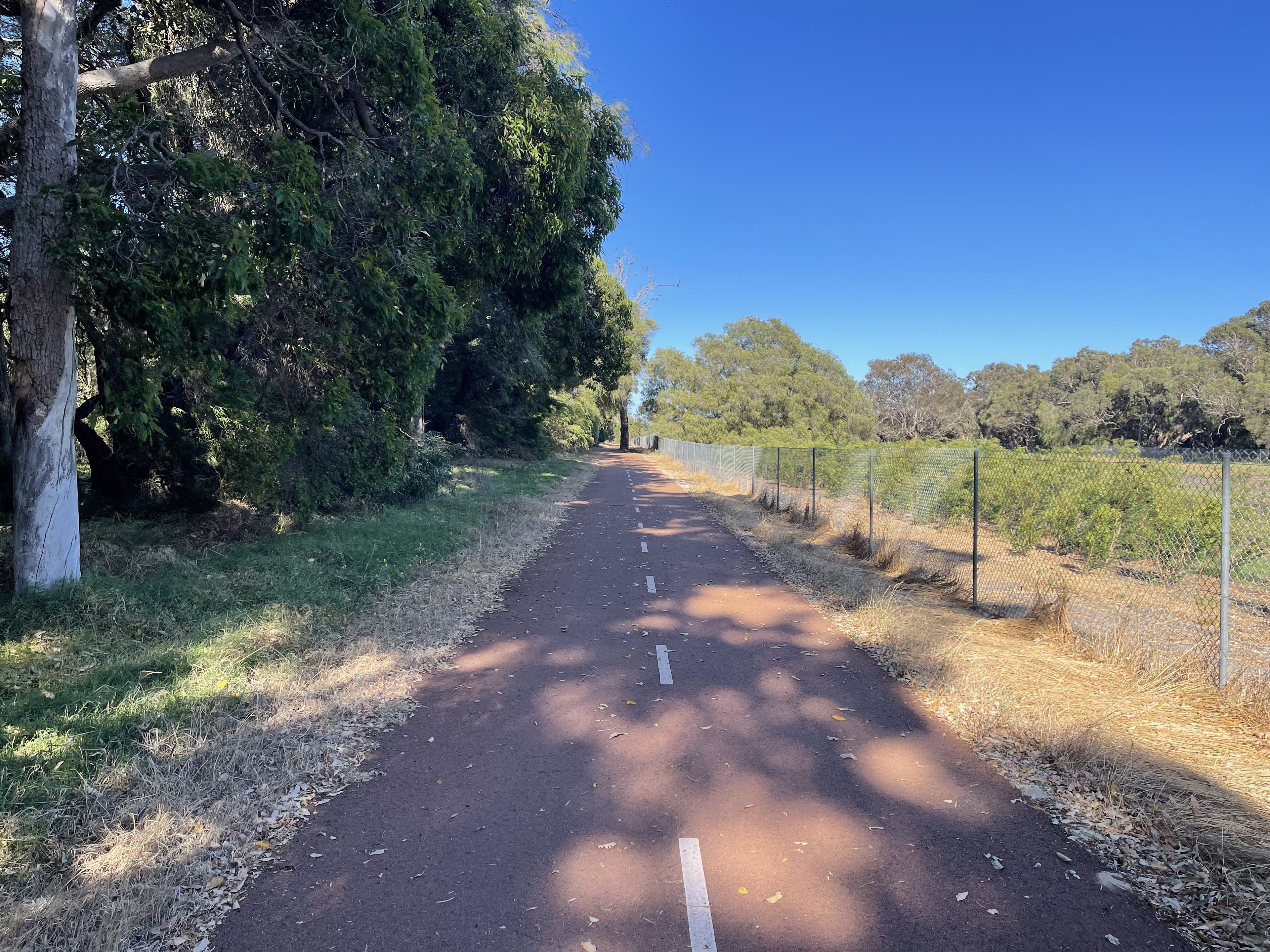 Cycle path near regenerative forest on the Busselton Bike Loop