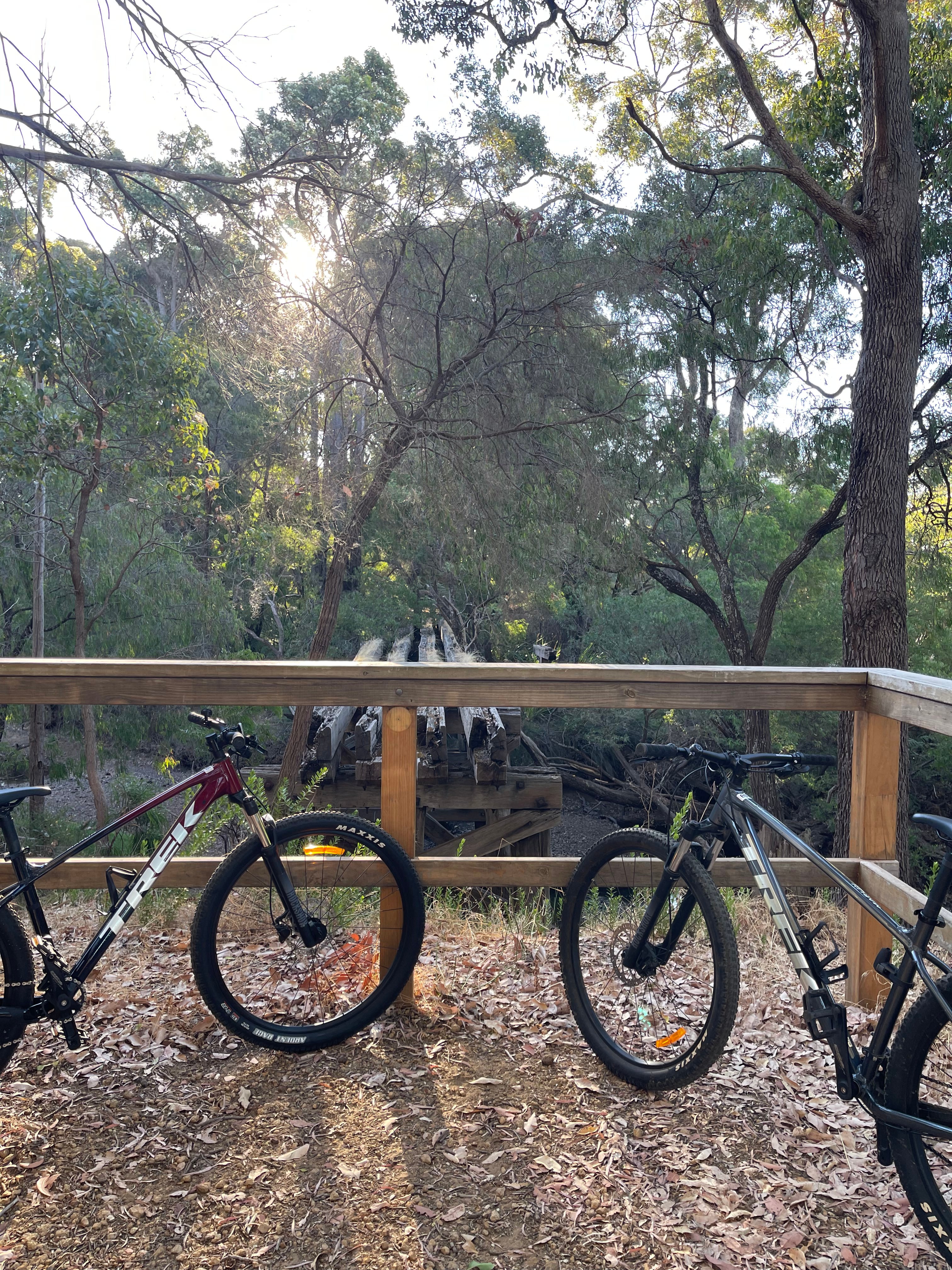 Two bikes at the historic rail bridge on the Wadandi Track