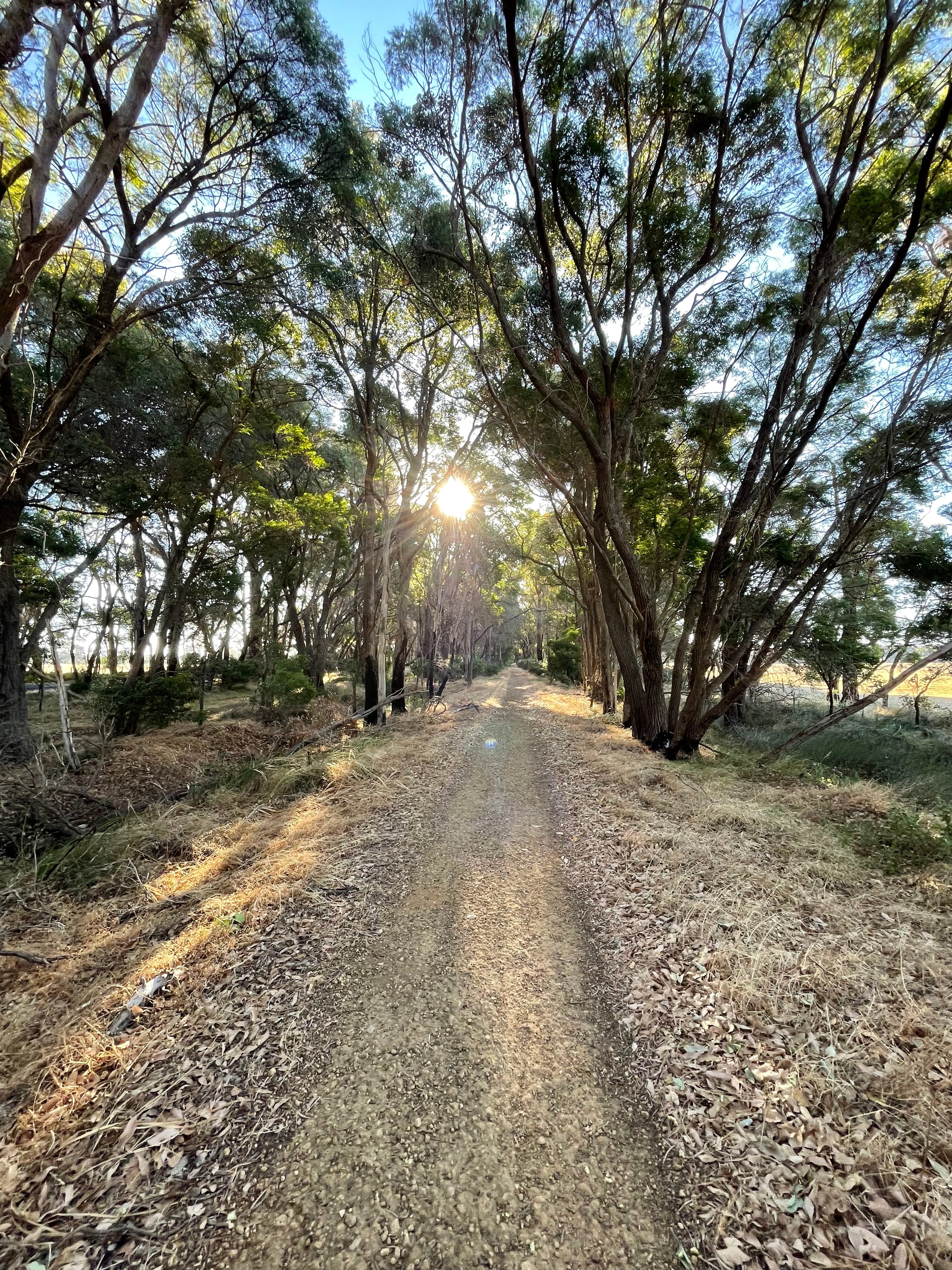 Cycling through the forest section of the Wadandi Track near Busselton