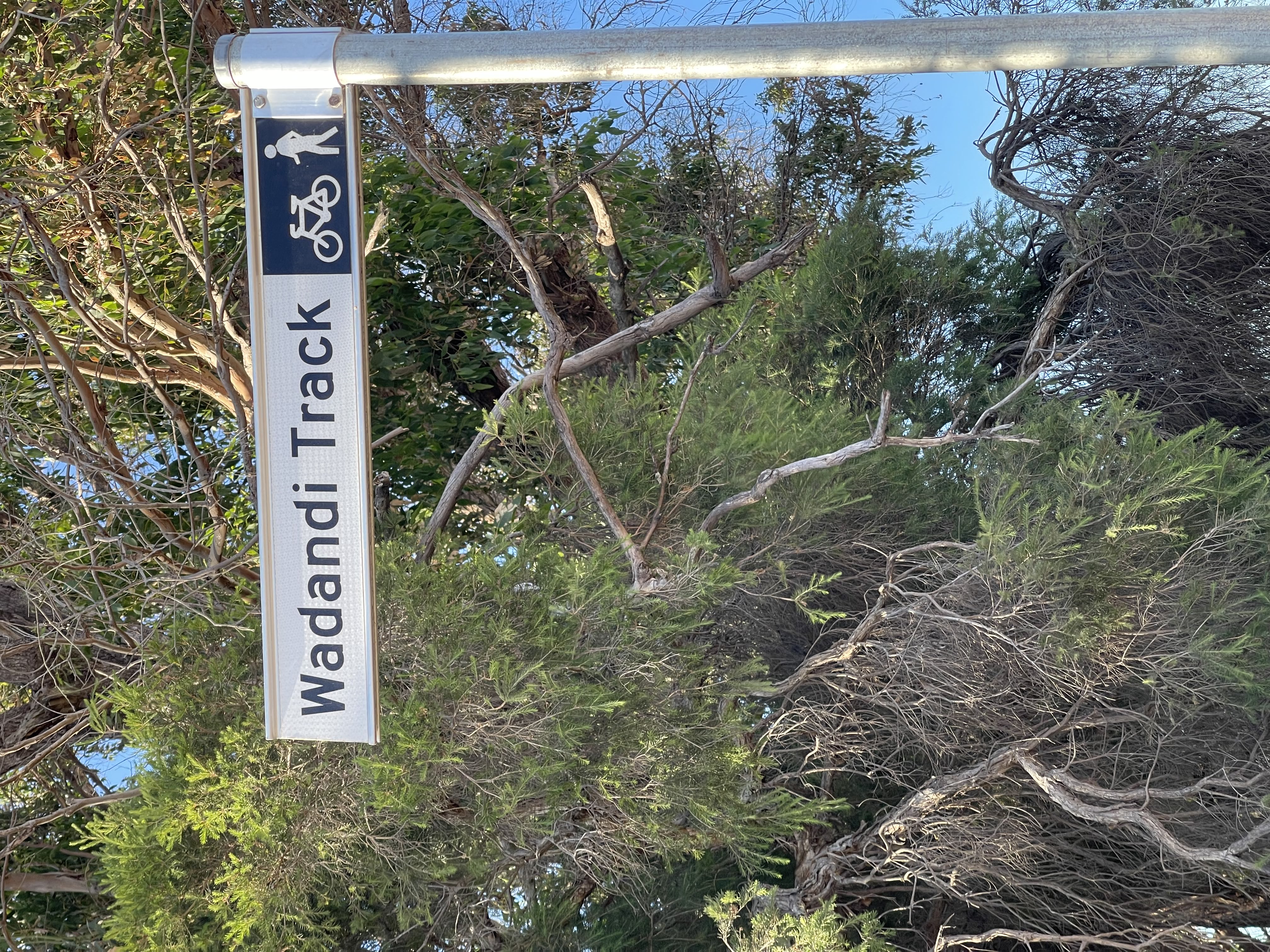 Wadandi Track trail sign marking the start of the historic rail trail