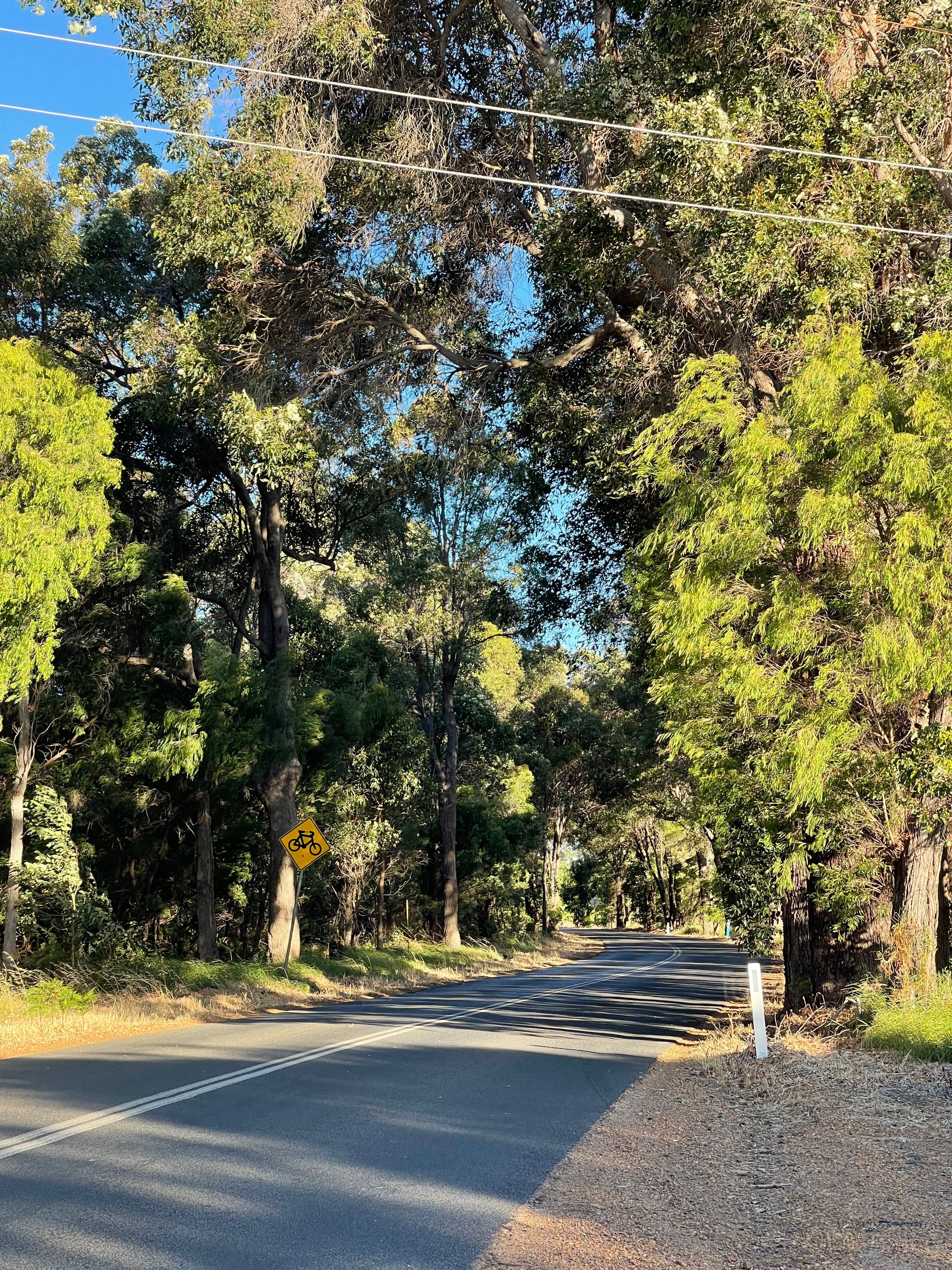 Cycling along Yallingup Siding Road through scenic farmland